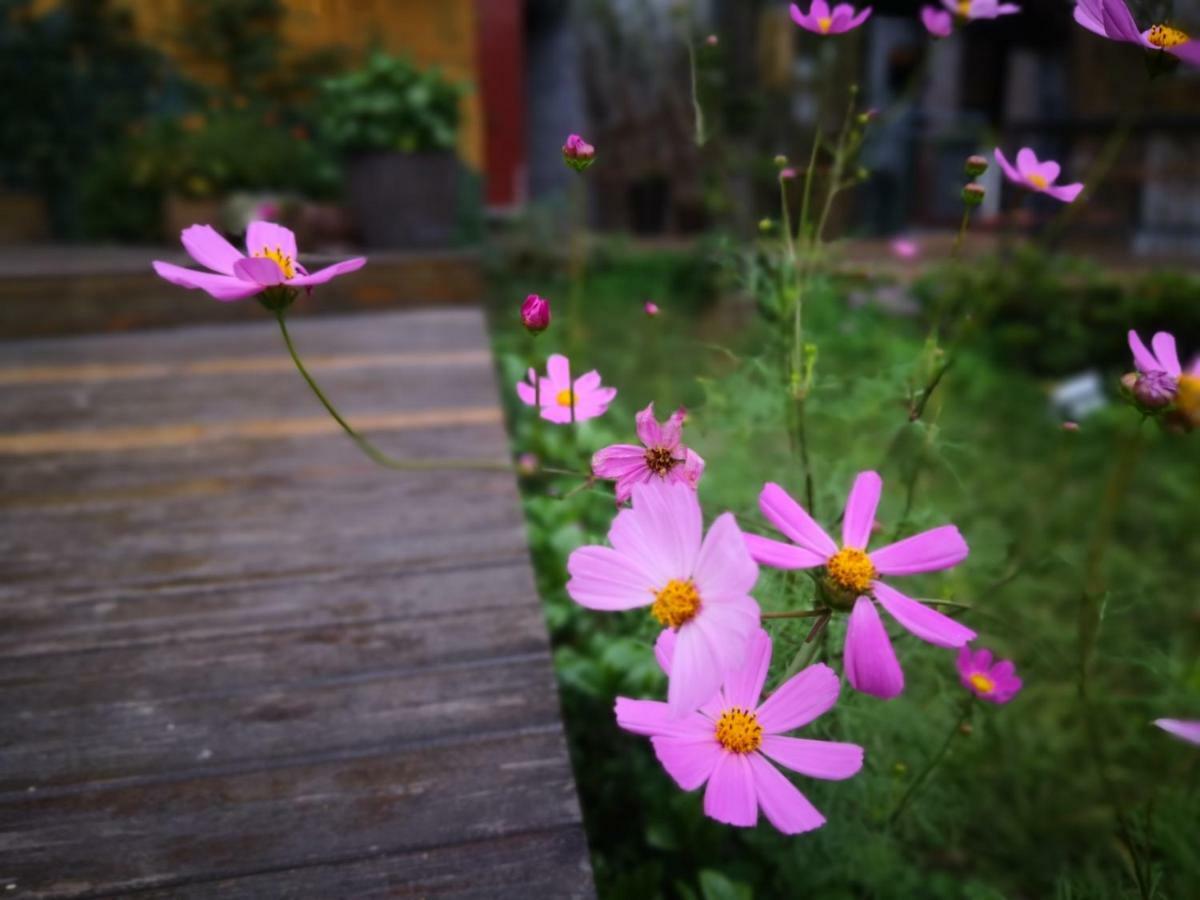 Dao Bian Inn Zhangjiajie Esterno foto