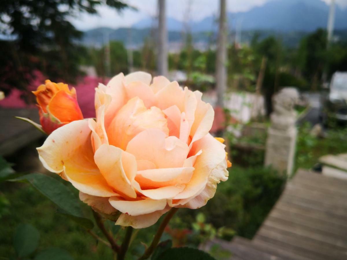 Dao Bian Inn Zhangjiajie Esterno foto